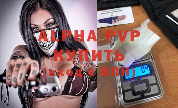 прущие грибы Волосово