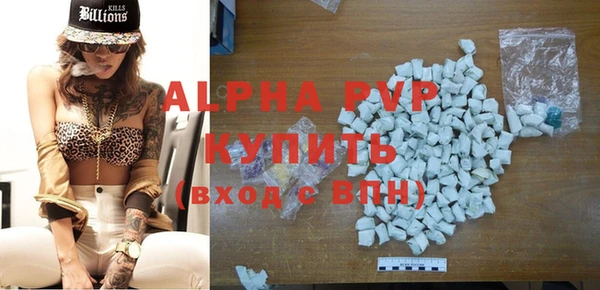 прущие грибы Волосово