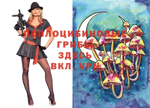 дурь Волоколамск