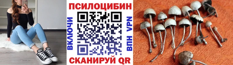 площадка официальный сайт  Людиново  Галлюциногенные грибы мухоморы 